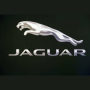 jaguar jaguar